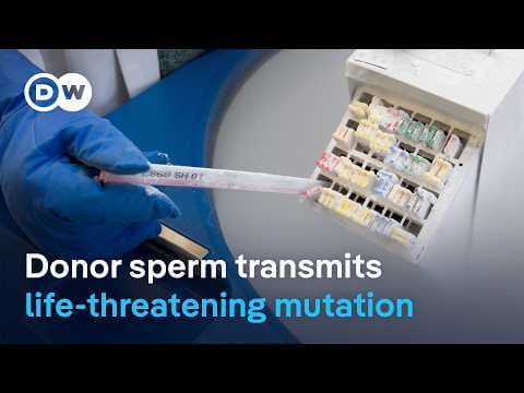 Almost 200 children from a sperm donor with cancer-mutation | DW News