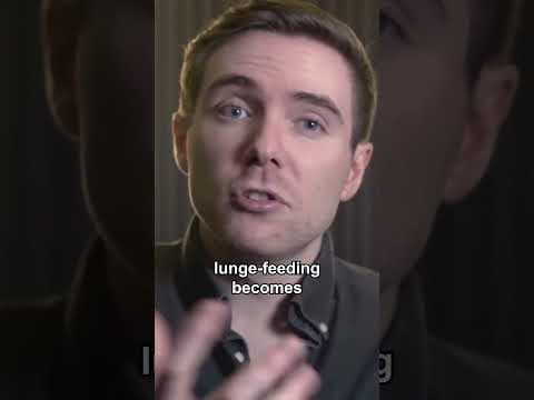 How Krill Built the Biggest Animal Ever