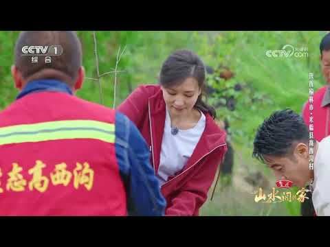 [山水间的家第四季]植绿护土守初心 披绿生金启新程 | CCTV