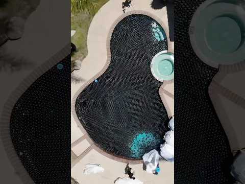 Can you swim in shade balls?