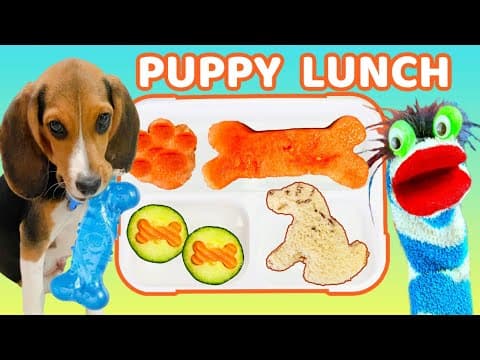 Fizzy Helps Pack a Puppy Dog Theme Lunch for School Lunch Box