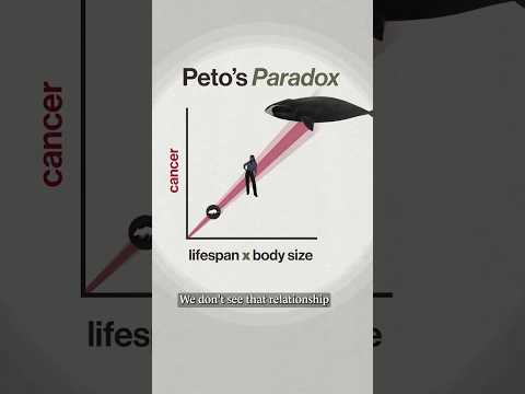 Why aren't whales riddled with cancer?