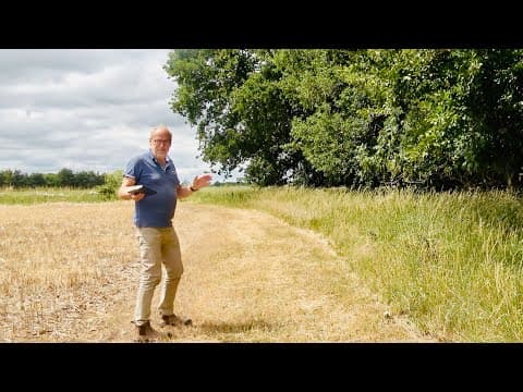 All change on the farm as growing food is no longer the main priority..