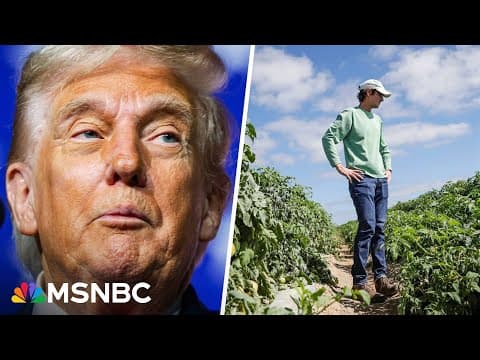 'Everybody is scared to death': Soybean farmer shares struggles amid Trump's tariffs