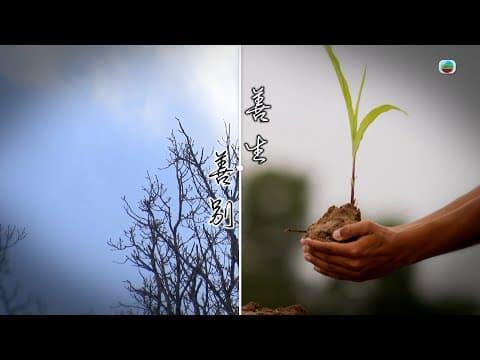 TVB 星期日檔案 |善生‧善別 (繁/簡字幕)| 無綫新聞|TVB News|殯儀|殯葬