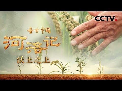 小米的祖先是狗尾巴草?还和江山社稷有关联?《河洛记·沃土之上》| CCTV「寻古中国」20231114