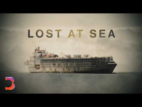 The Dark Side of the $20 Billion Livestock Shipping Industry