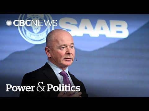 Saab fighter jet deal could create thousands of Canadian jobs: CEO | Power & Politics