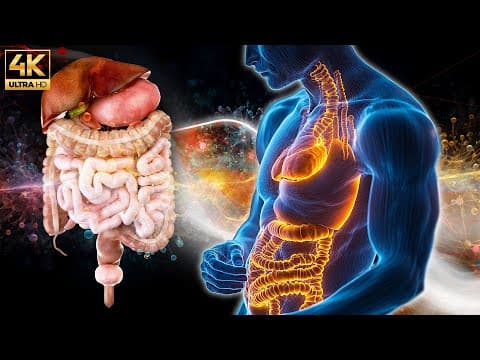 Repairs DNA & Heals Damaged Cells (528Hz EMDR Binaural QT4 Healing Frequency) #3