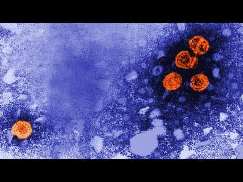 ‘Chaos and turmoil’: CDC vaccine panel, revamped by RFK Jr., takes up hepatitis B Vote