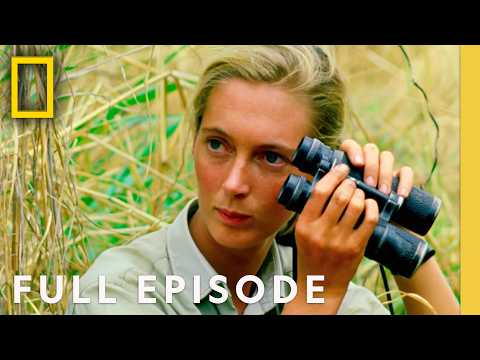 Jane Goodall: The Hope (Full Episode) | SPECIAL | National Geographic