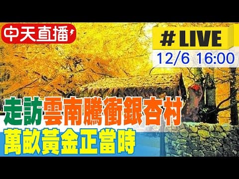 【中天直播#LIVE】走訪雲南騰衝銀杏村 萬畝黃金正當時 20251206 @全球大視野Global_Vision