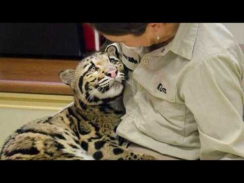 Animal Couldn’t Hold Emotions When Hugged By Their Favorite Human 😍Cute Animal Videos 2025