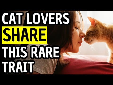 4 Hidden Strengths That Only Cat Lovers Seem to Have (Do You?)