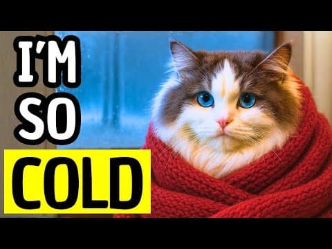 You Think It’s Love, But It’s Dangerous (10 Winter Mistakes)
