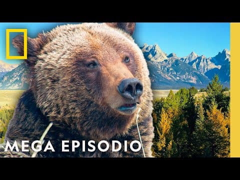 America's National Parks: Hidden Gems | S2 MEGA EPISODE | National Geographic