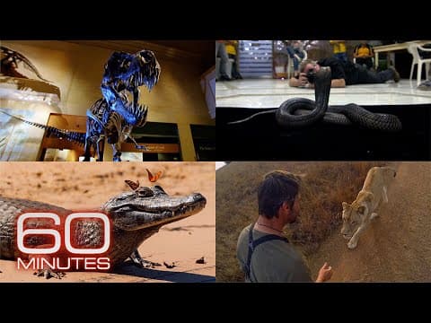 Recreating Dinosaurs; Photographing Wildlife; Up Close With Lions | 60 Minutes Full Episodes