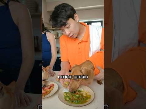 Uncle Roger Try Dog Food @itsthecedlife