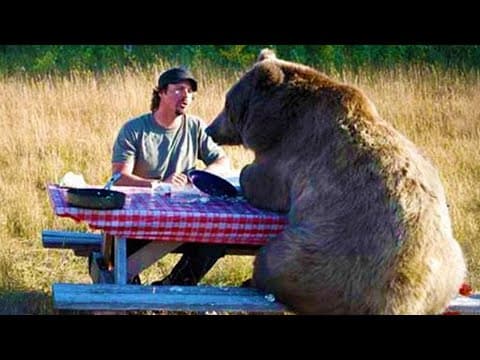 You’re Gonna Die Laughing At These Animals 😂 Funniest Animal Videos 2025 Ever!