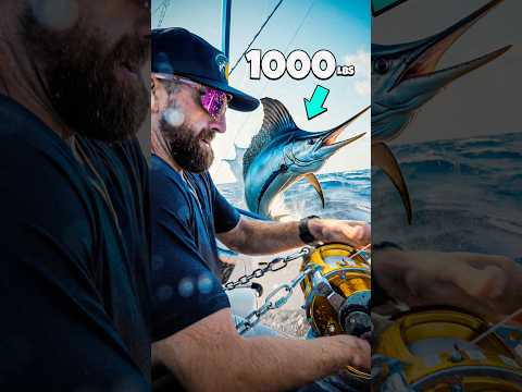 INSANE BATTLE WITH 1000lb FISH!