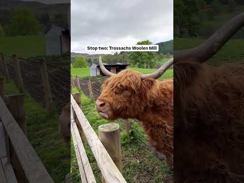 DO NOT MISS this ROAD TRIP 🇬🇧