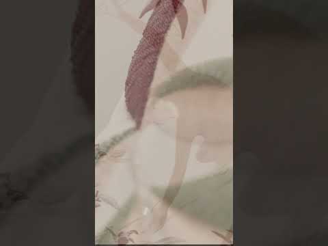 Armani/Casa for Milano Design Week 2025