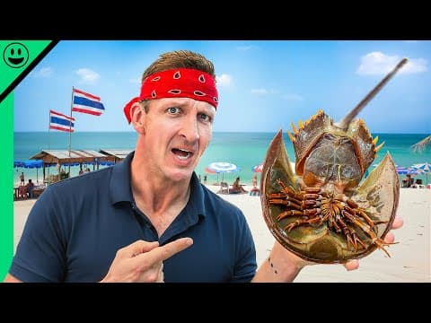 Thailand Seafood Street Food!! Cheapest in Asia!!