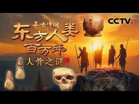 中华大地最早的古人类在哪里?神秘人骨化石揭开东方人类百万年演化之谜!《东方人类百万年·人骨之谜》| CCTV「寻古中国」20250530