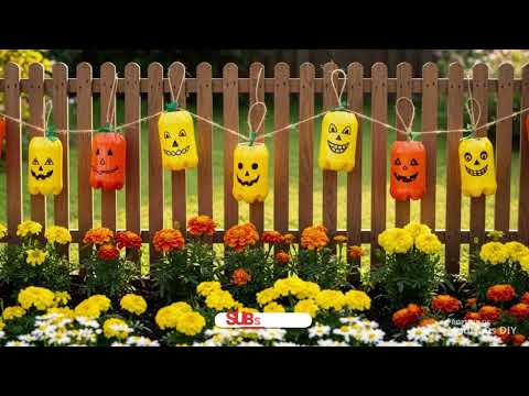 Summer DIY Secrets 🌞 15 Pumpkin-Inspired Borders & Backyard Hacks You Can Do for Almost Nothing”