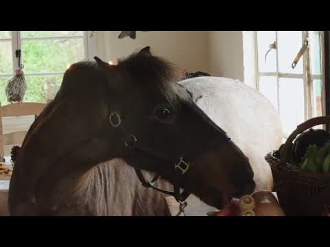 Touring a Fairytale English Farmhouse at Christmas