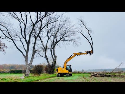 A 21-tonne chainsaw visited the farm last week; here's what it got up to..