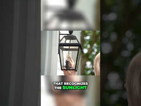 Amazon Home Find🏠 Dusk to Dawn Exterior Light Bulbs #amazon #homehacks #amazonhome