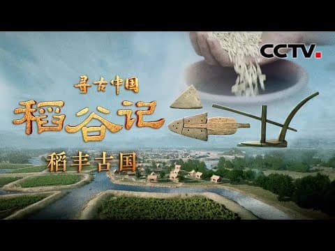 堪称奇迹!良渚人治水比传说的大禹治水还早1000年,古城水库蓄水量相当于3个西湖《稻谷记·稻丰古国》| CCTV「寻古中国」20230817