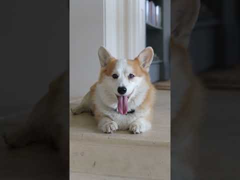 Keith Johnson's home in the English countryside is a feast for the eyes! ❤️