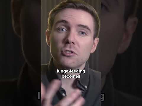 How Krill Built the Biggest Animal Ever