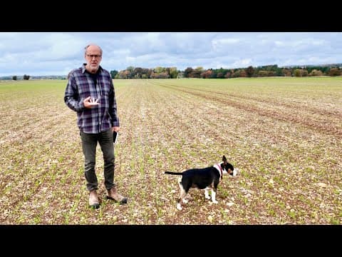 The wheat is up, the government does another U-turn & the trees need to come down