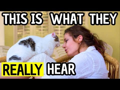 What Is Your Cat Really Thinking When You Talk to Them Like a Human?