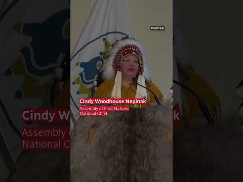 Dozens of repatriated Indigenous cultural items arrive in Canada