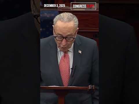 Schumer Blasts Trump for Calling Affordability Crisis a “Hoax”