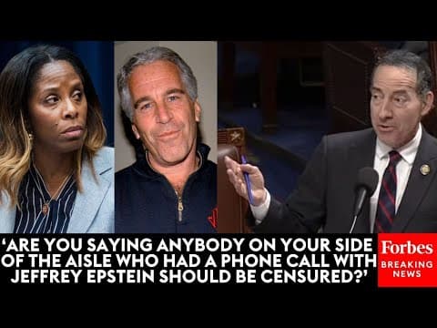 VIRAL MOMENT: Raskin Defends Plaskett Texting Epstein: 'Taking A Phone Call From Her Constituent'