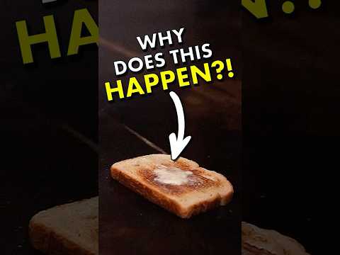 We made a whole physics video about falling toast