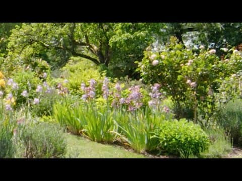 Cordelia de Castellane's Garden Seamlessly Blends with Nature