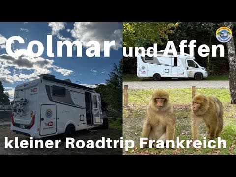 🚐🐒 Mit dem Wohnmobil zu den Affen & nach Colmar 🏙️✨
