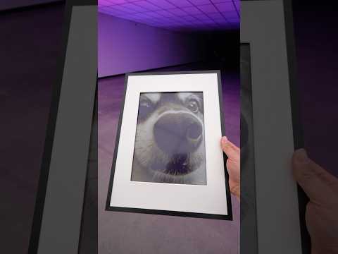 World's First Smart Color E-ink Frame - Bloomin8 Smart Frame @BLOOMIN8 #Bloomin8 #EinkCanvas