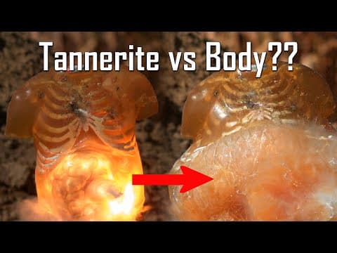 What Happens if you EAT Tannerite??- Ballistic High-Speed