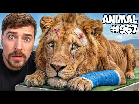 I Saved 1,000 Animals From Dying