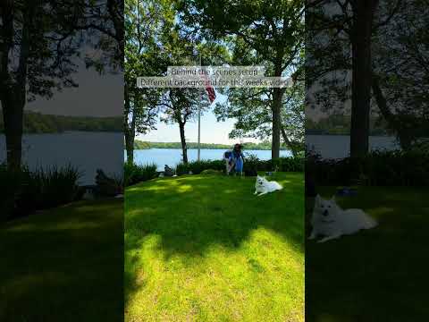 If you have a topic or question you want me to cover in future videos, leave it in the comments 😊