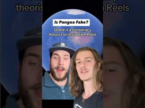 Shayne Vibes DEBUNKED