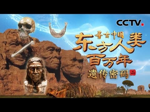 继“北京人”之后,周口店遗址又发现了哪些东方古人类?他们会是我们的祖先吗?《东方人类百万年·遗传密码》| CCTV「寻古中国」20250531