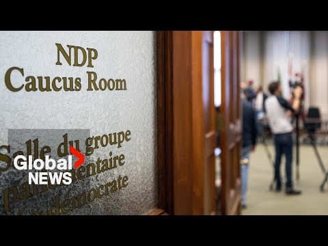 Natural resources key in upcoming NDP leadership race: analysis